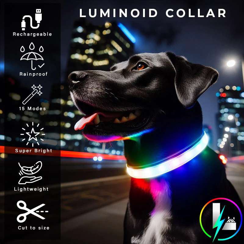 Luminoid LED Dog Collar - Bluetooth - App Control - Glowy Zoey