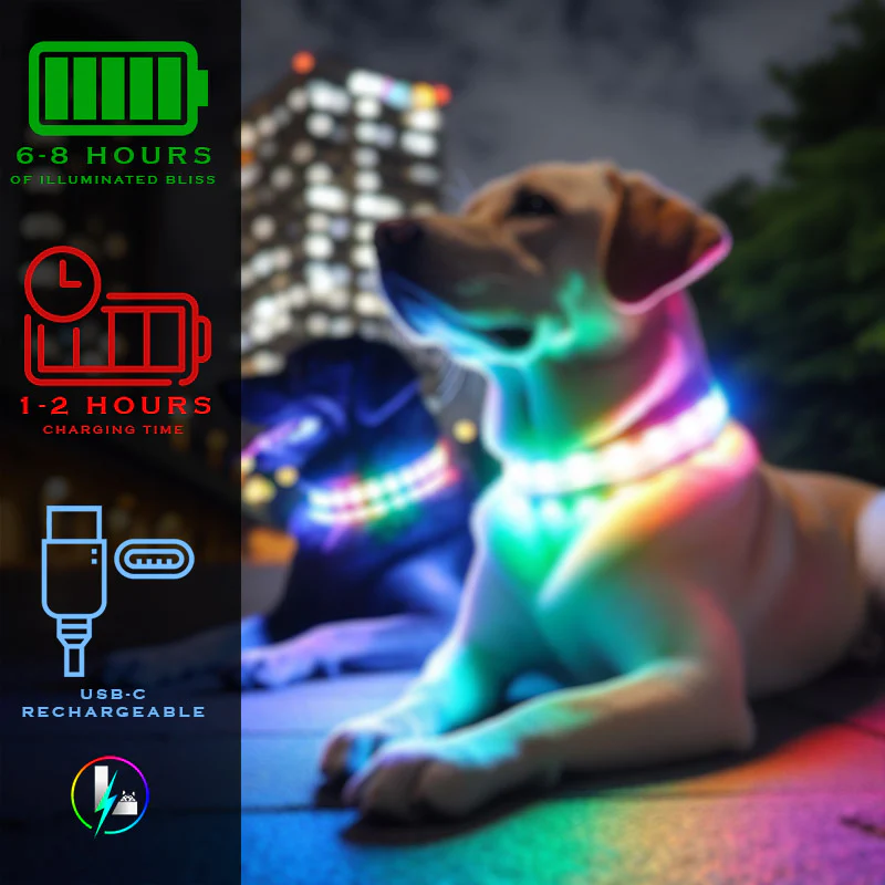 Luminoid LED Dog Collar - Bluetooth - App Control - Glowy Zoey