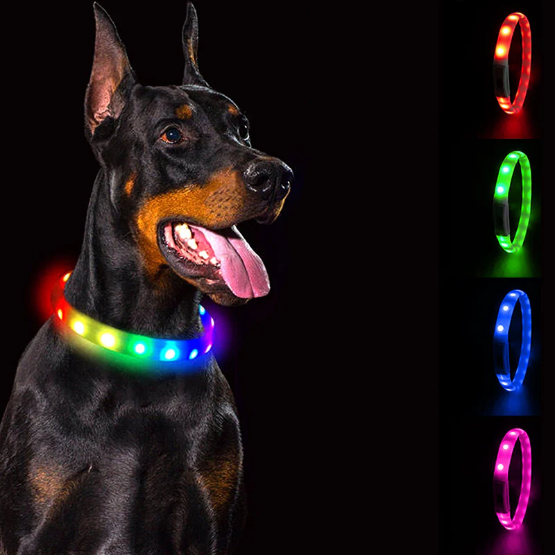 Luminoid LED Dog Collar - Bluetooth - App Control - Glowy Zoey