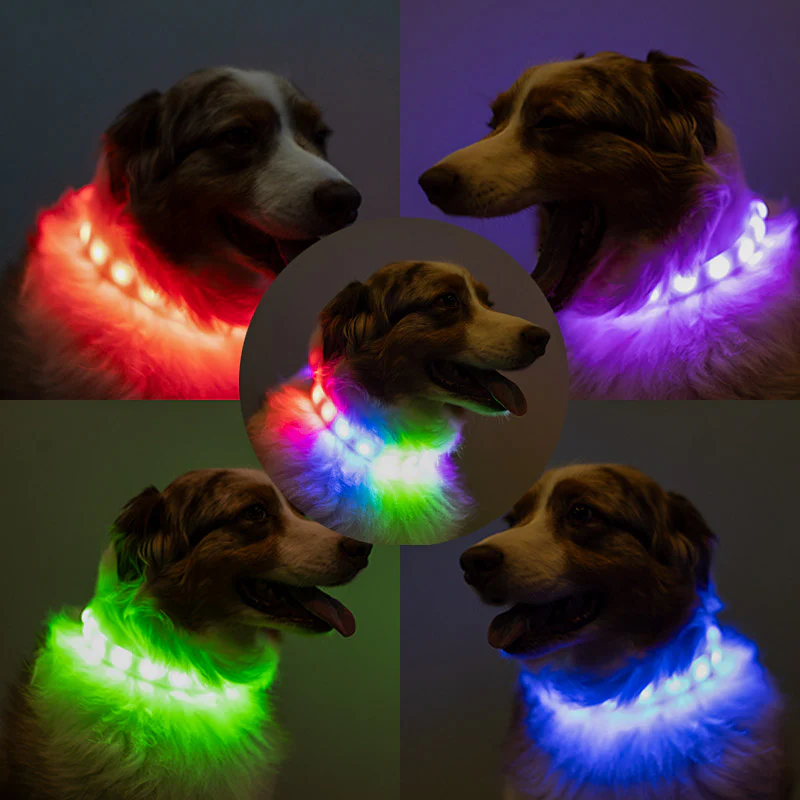 Luminoid LED Dog Collar - Bluetooth - App Control - Glowy Zoey